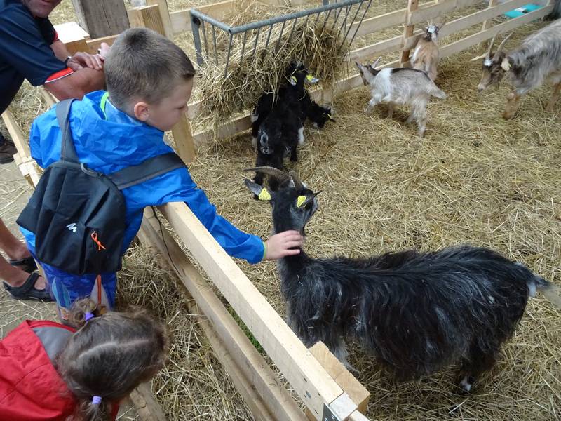 ferme-pedagogique-menez-meur